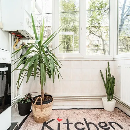 Apartment Cozy Artists - By Open House Timisoara