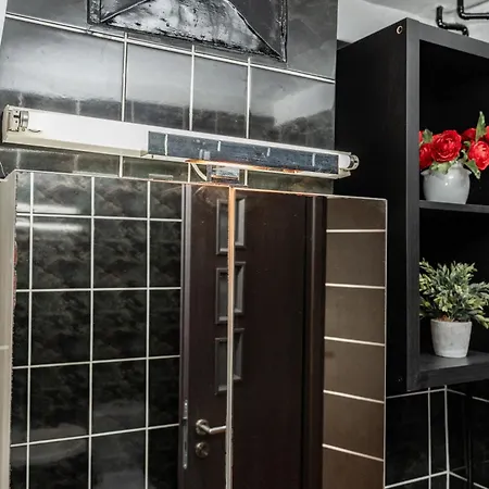 Cozy Artists - By Open House ティミショアラ