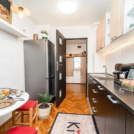 Cozy Artists - By Open House *