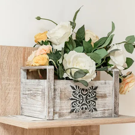 Cozy Artists - By Open House * ティミショアラ