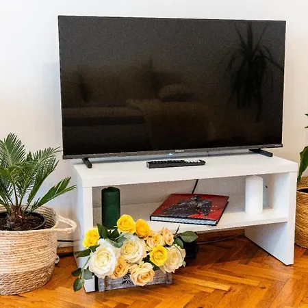 Cozy Artists - By Open House *