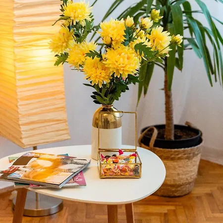 Cozy Artists - By Open House * Timisoara