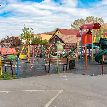 Cozy Artists - By Open House ティミショアラ