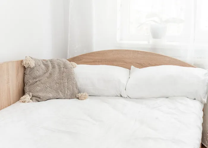 Cozy Artists - By Open House Timișoara