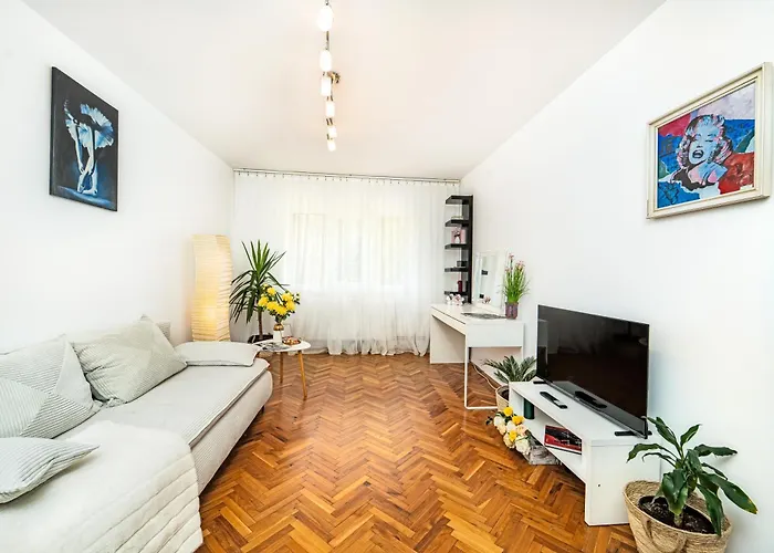 Cozy Artists - By Open House Timișoara