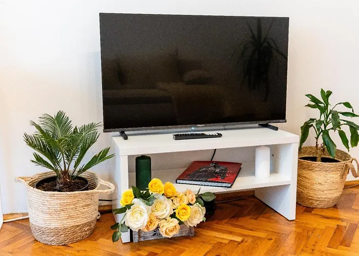 Cozy Artists - By Open House *