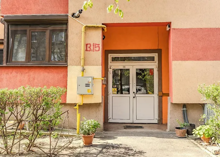 Cozy Artists - By Open House 蒂米什瓦拉