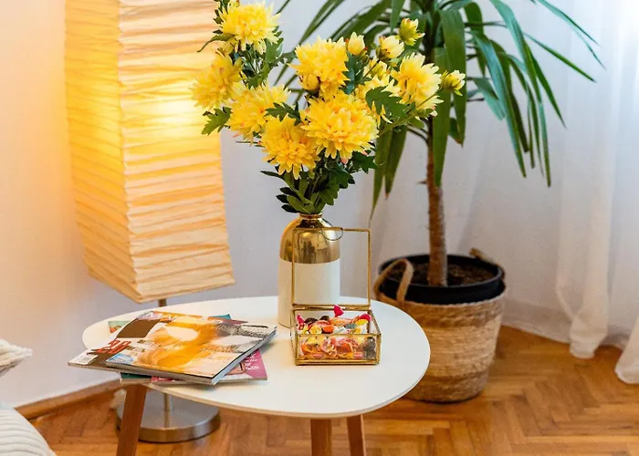 Cozy Artists - By Open House * 蒂米什瓦拉