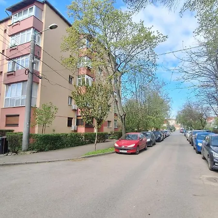 Cozy Artists - By Open House