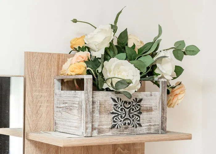 Cozy Artists - By Open House * Timişoara