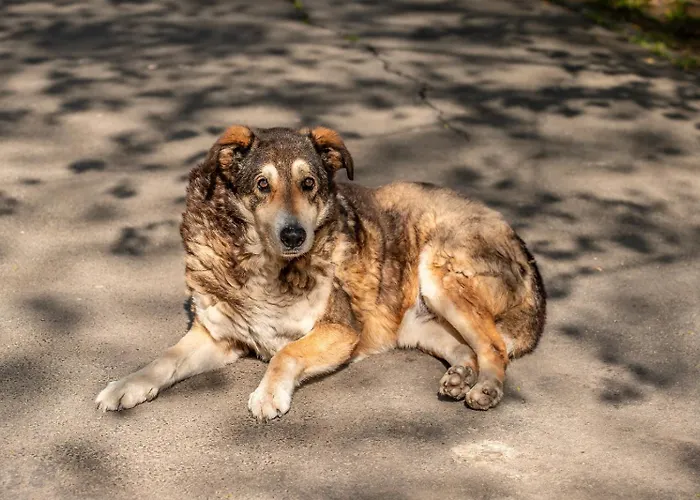 Apartament Cozy Artists - By Open House